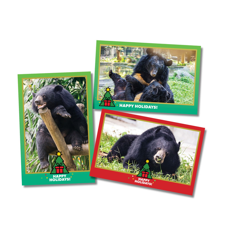 Cartes de voeux ours pour Noel